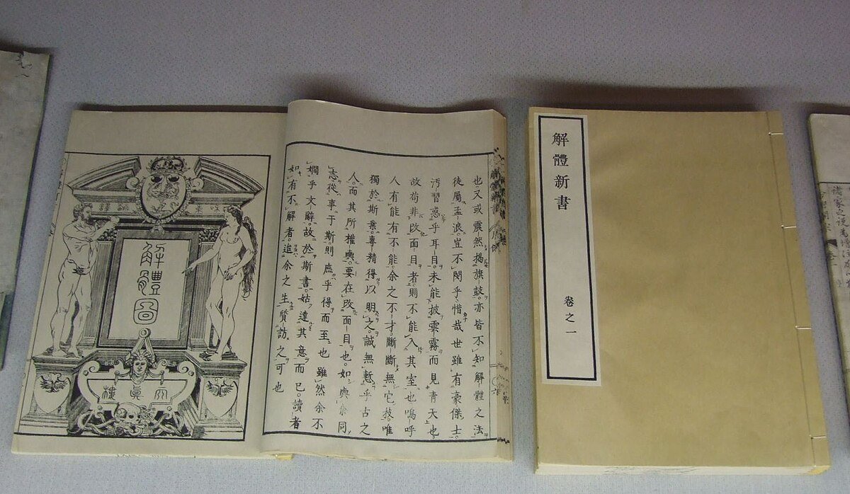 🏛️ 쓰야마 양학 자료관 (쓰야마 요가쿠 시료칸) 이미지 4